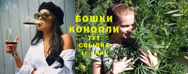 прущий лед Арсеньев