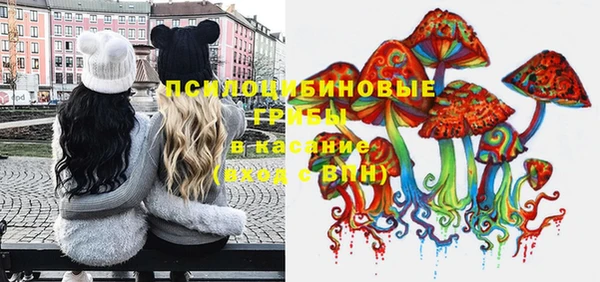 гашик Алексеевка