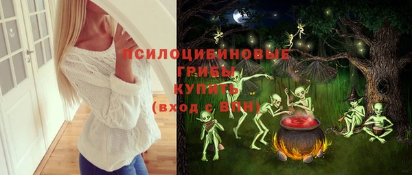 МДПВ Семилуки