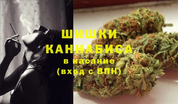 гашик Алексеевка